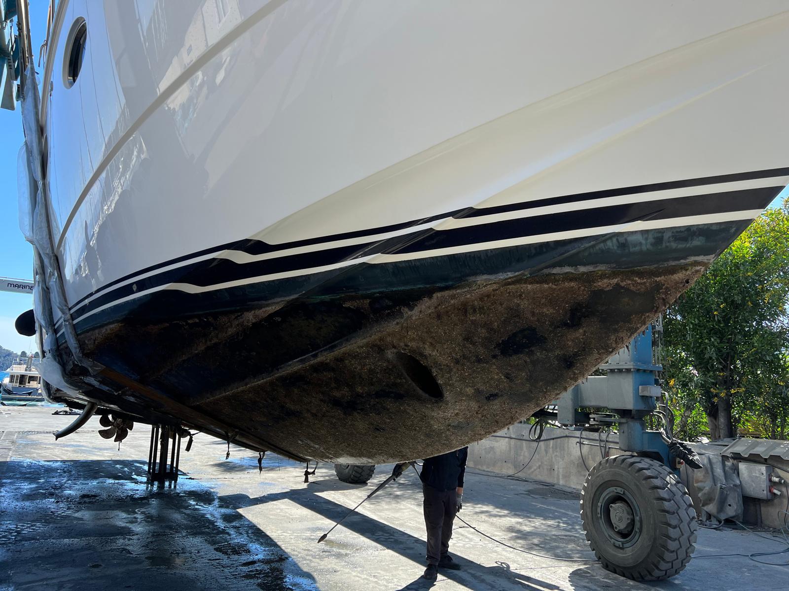 aa580a0c 8820 4746 a2d4 f220aba9080e